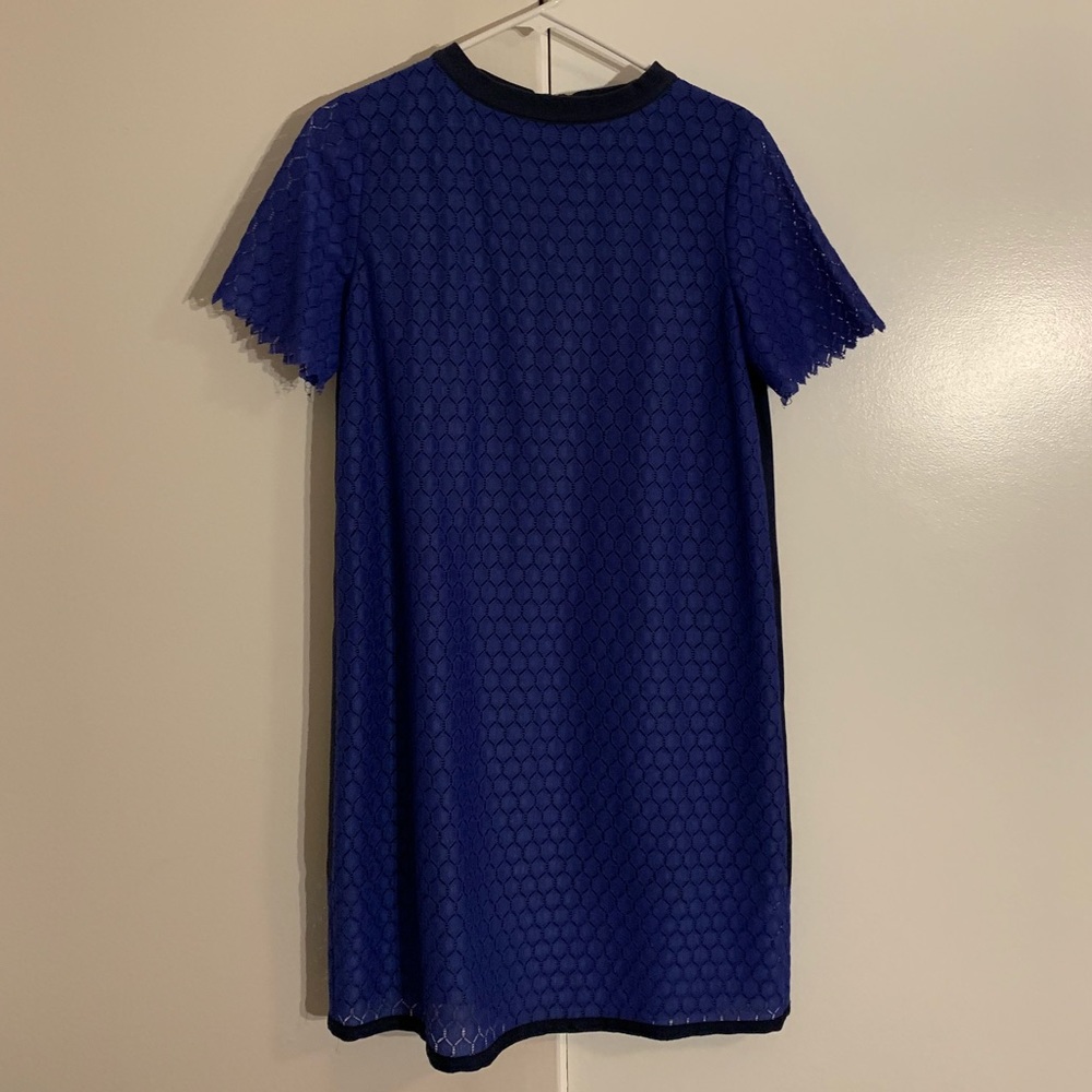 Band of Outsiders sz 4 cobalt blue lace dress